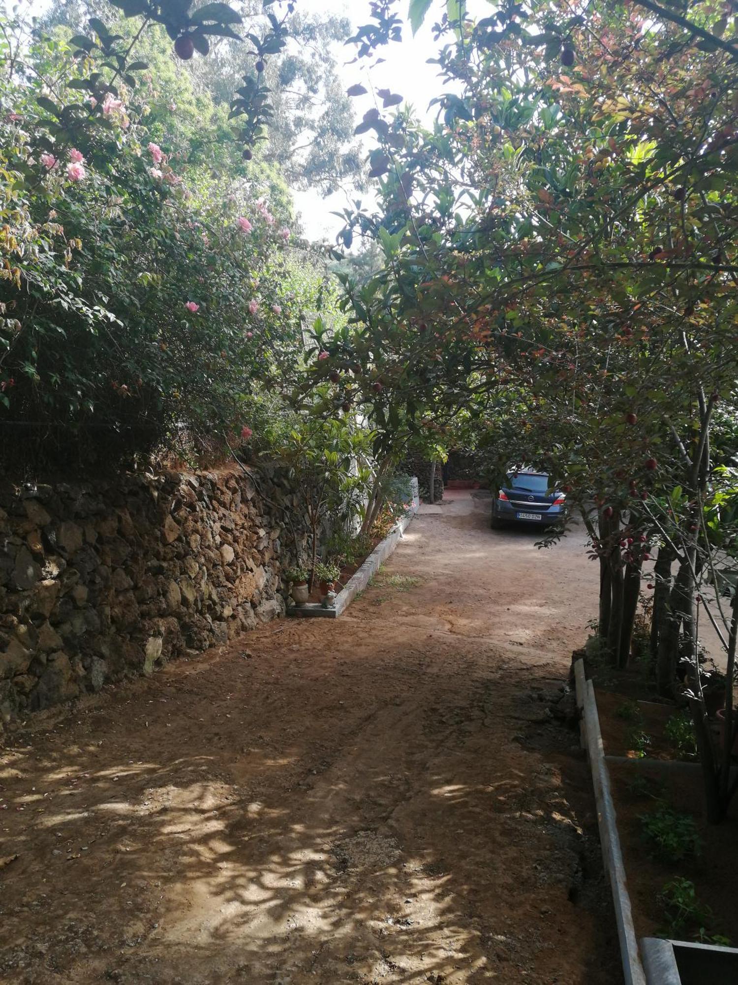 Casa Ecologica, Autosuficiente En Lomo Blanco, Dentro De Una Casa Rodeada De Naturaleza San Juan de la Rambla المظهر الخارجي الصورة